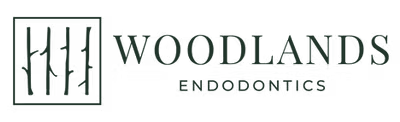 Woodlands Endodontics