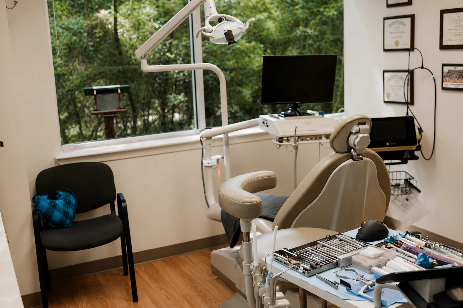Treatment room at Woodlands Endodontics with a window overlooking the trees